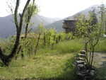 27042008(018).jpg